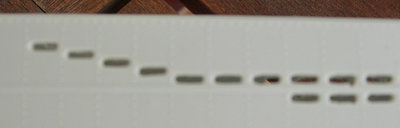 DSCN3626.JPG
