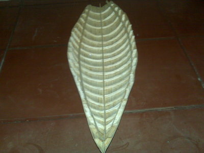 IMG00253.jpg