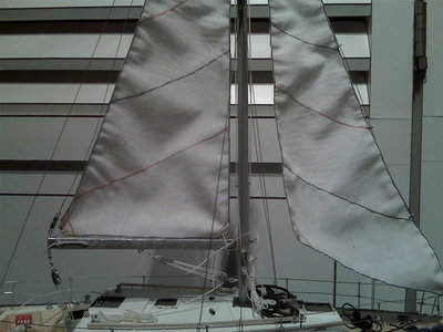 IMG00383.jpg