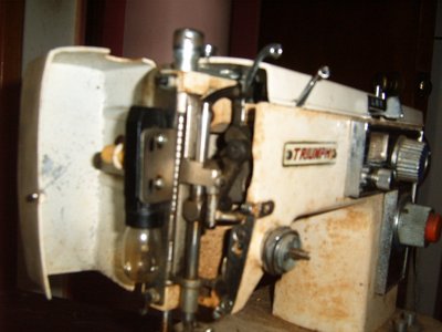 S3700465.JPG