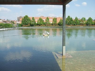 DSCF0417.JPG
