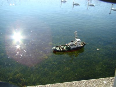 navegan con cisnes.