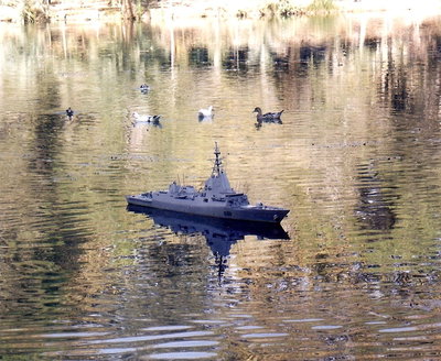 Queria que fuese una imagen navegando, pero es lo malo de los lagos, lo vereis en la siguiente imagen. Bonitos los patos. ¿No?. Je, je.