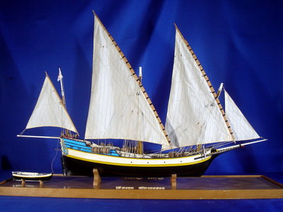 Pinco genovese.jpg