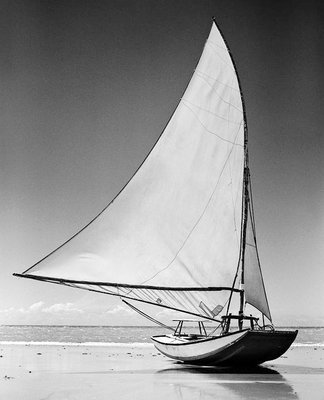 jangada-1.jpg