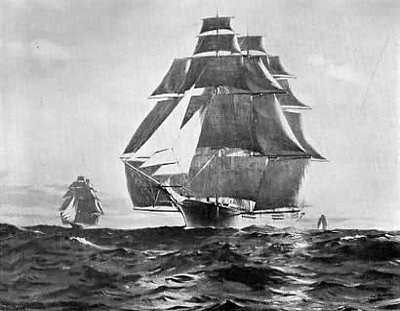 flying fish.jpg