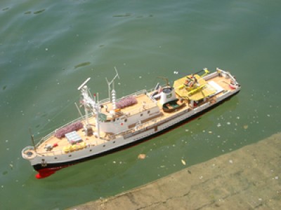 Calyps 02 baja.jpg