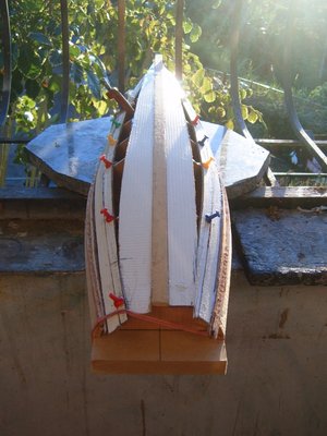 S3700223.JPG