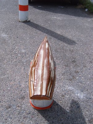 S3700238.JPG