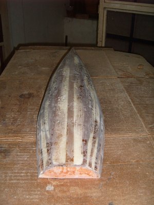 S3700244.JPG