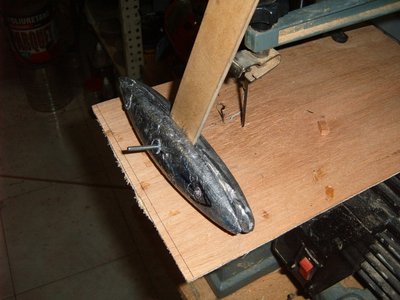 S3700391.JPG