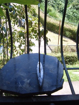 S3700403.JPG