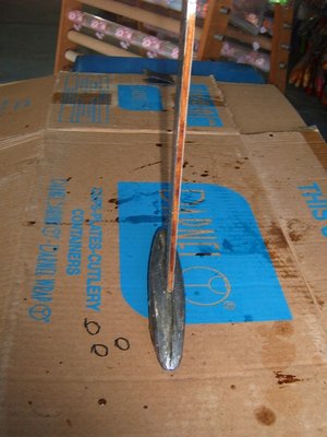 S3700042.JPG