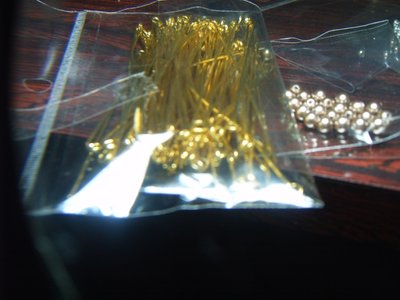 S3700198.JPG