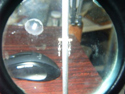 S3700299.JPG