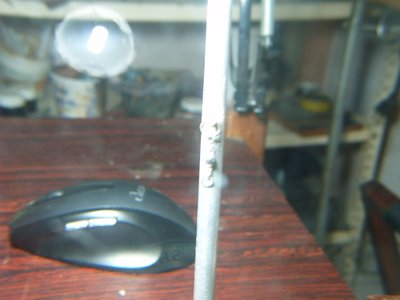 S3700300.JPG