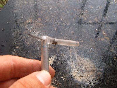 S3700390.JPG