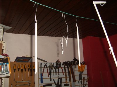 S3700566.JPG