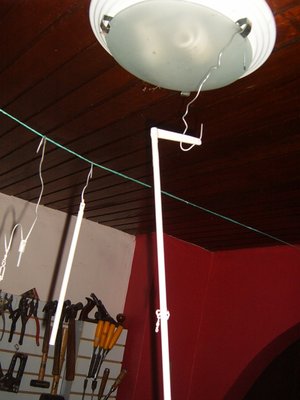 S3700567.JPG