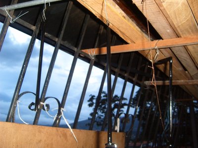 S3700572.JPG