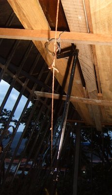S3700574.JPG
