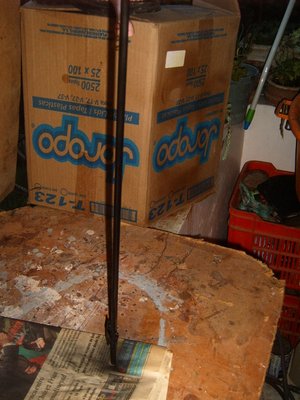 S3700575.JPG