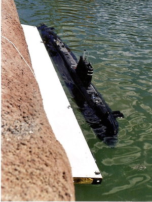 Amarrado