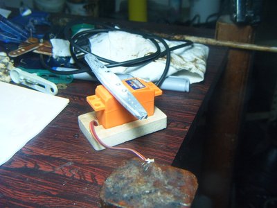 S3700045.JPG