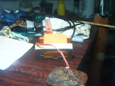 S3700046.JPG