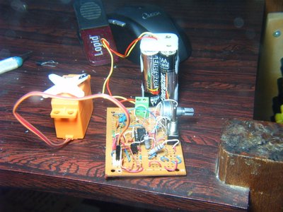 S3700078.JPG