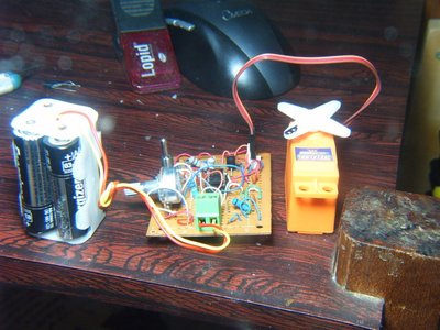 S3700080.JPG