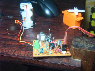S3700081.JPG