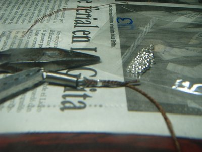 S3700111.JPG