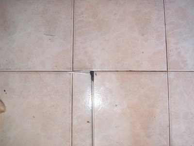 S3700174.JPG
