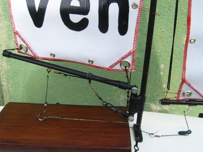 S3700055.JPG