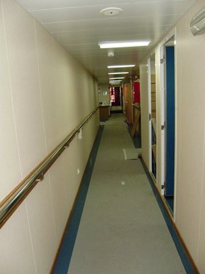 031.JPG
