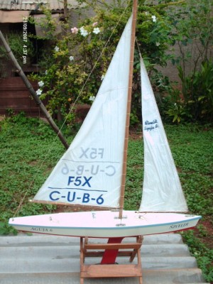 HPIM1610.jpg