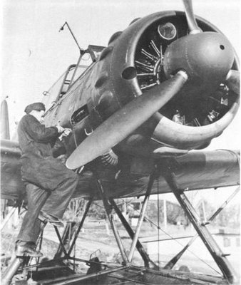 Arado 3.JPG