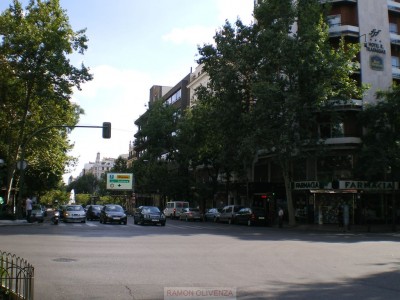 Esta vista es del hotel desde Eloy Gonzalo, los que vengais de la Castellana, (casi todos) debeis girar aqui a la izquierda. Fijaros en la puerta, ahí se puede parar