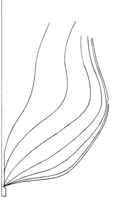cuade red5.jpg