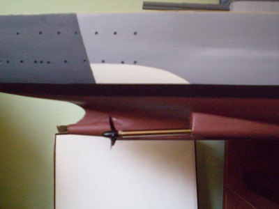 P1010034.jpg