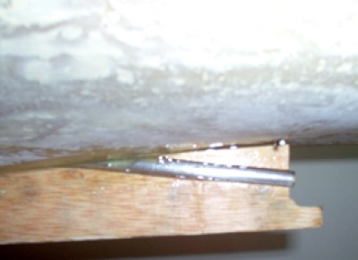 Detalle bocina