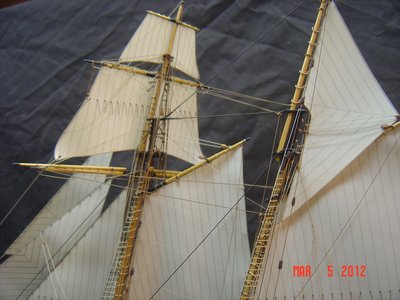 DSC03854.jpg